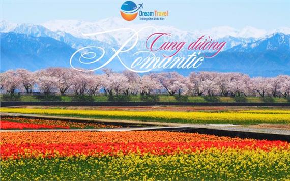 Tour Nhật Bản Thiết Kế Đặc Biệt 7N6Đ: Cung Đường Romantic - Bộ tứ mùa xuân 2025